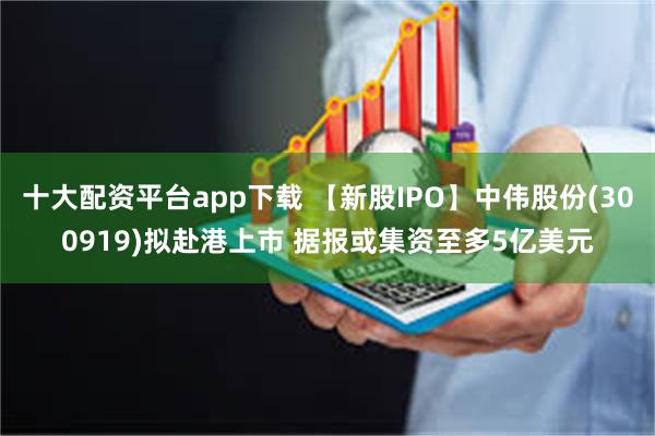 十大配资平台app下载 【新股IPO】中伟股份(300919)拟赴港上市 据报或集资至多5亿美元